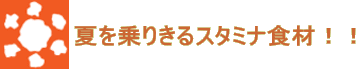 夏を乗りきるスタミナ食材！！